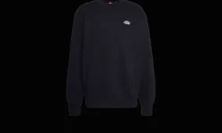 Summerdale Sweatshirt Black<Dickies Outlet