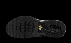 Air Max Plus Tiempo Wolf Grey<Nike Hot