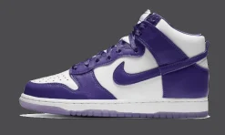 Dunk High SP Varsity Purple<Nike Hot