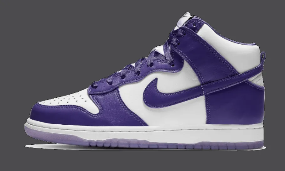 Dunk High SP Varsity Purple<Nike Hot