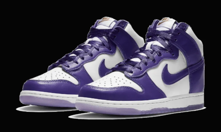 Dunk High SP Varsity Purple<Nike Hot