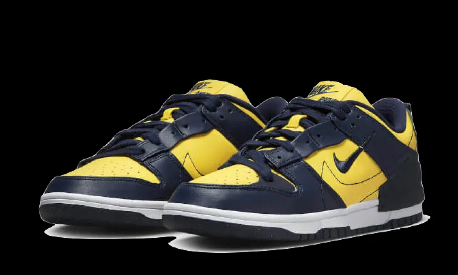 Dunk Low Disrupt 2 Michigan<Nike Online