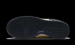 Dunk Low Disrupt 2 Michigan<Nike Online