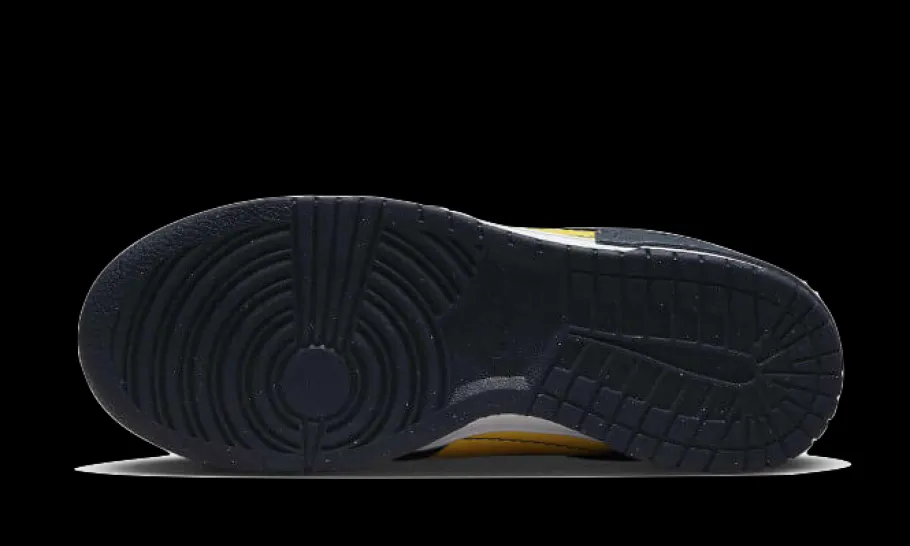 Dunk Low Disrupt 2 Michigan<Nike Online
