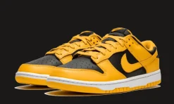 Dunk Low Goldenrod<Nike Fashion