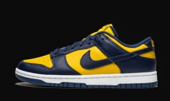 Dunk Low Michigan<Nike Best