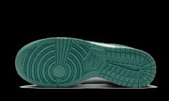 Dunk Low Next Nature Bicoastal<Nike Hot