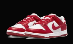 Dunk Low Next Nature Gym Red<Nike Best