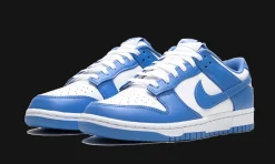 Dunk Low Polar Blue<Nike Best