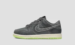 Dunk Low Swoosh Shadow Iron Grey Enfant (PS)<Nike Online