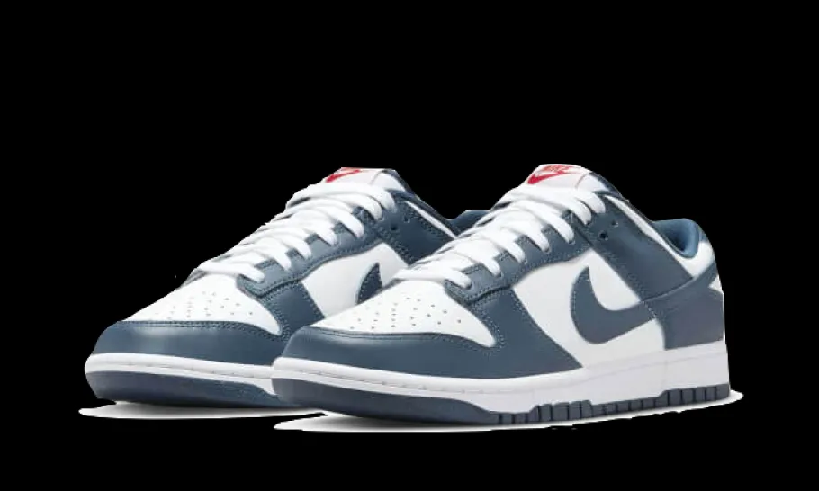 Dunk Low Valerian Blue<Nike Clearance