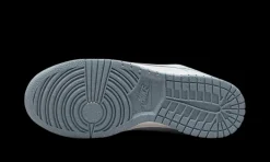 Dunk Low White Blue Airbrush<Nike Best