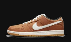 SB Dunk Low Pro Dark Russet<Nike Discount