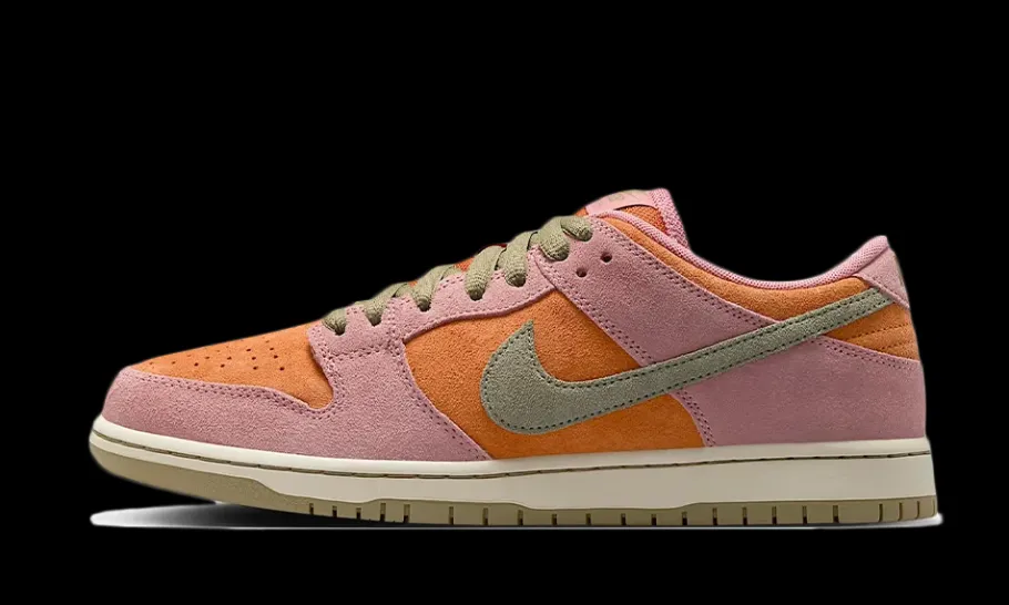 SB Dunk Low Pro Red Stardust<Nike Discount
