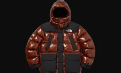 The North Face 700-Fill Down Parka Brown<Supreme Outlet