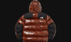 The North Face 700-Fill Down Parka Brown<Supreme Outlet