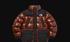 The North Face 700-Fill Down Parka Brown<Supreme Outlet