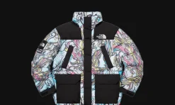 The North Face 700-Fill Down Parka Natural<Supreme Clearance