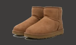 Classic Mini II Boot Chestnut<UGG Best